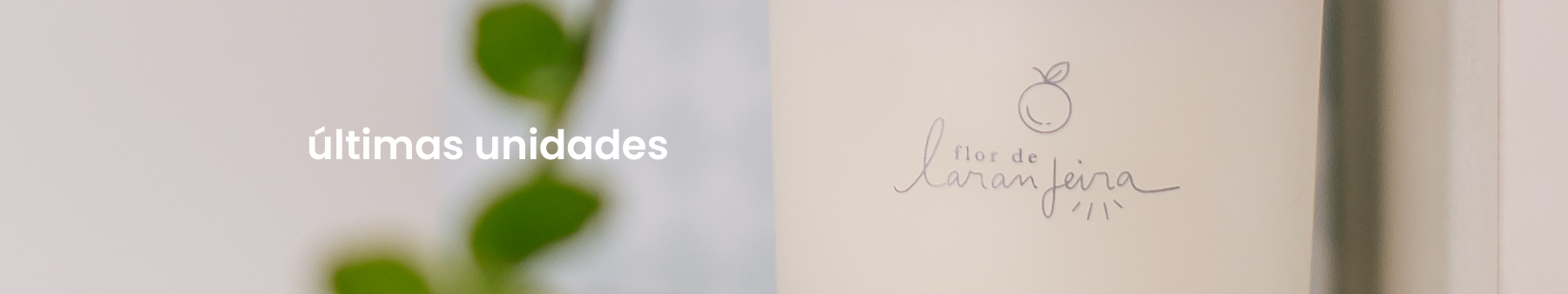 Banner da Coleção